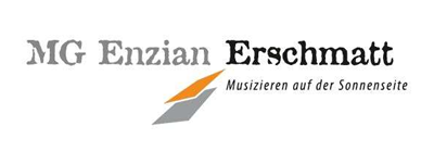 Logo ENZIAN